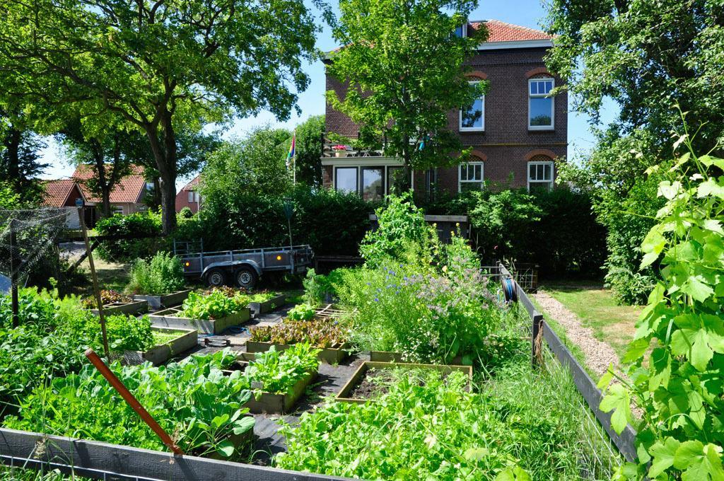 B&B De Postoari Terschelling 호른 외부 사진